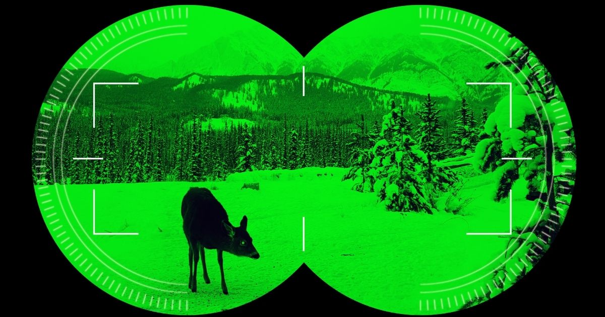 A dear in a snowy forest being seen through night vision goggles.